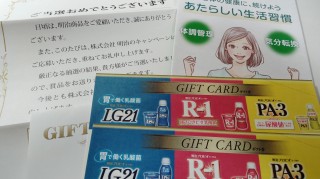 21年4月前半の懸賞当選品 節約しないでやりくり上手になる