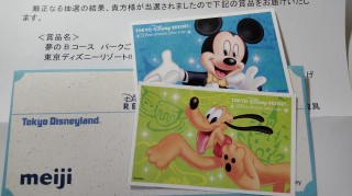 ディズニーペアチケット