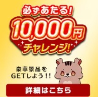 アイリスプラザ1万円挑戦