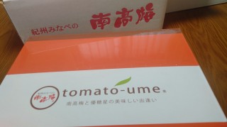 tomato-ume